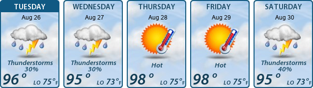 5-Day Forecast