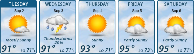 5-Day Forecast